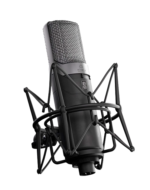 ML-1A Studio Modeling Microphone